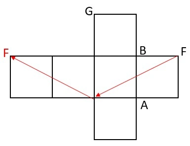 西南学院中2024展開図4